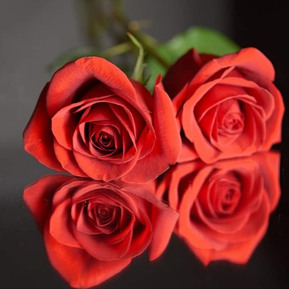 Meet your Posher, Wendy - Picture 4 of 4